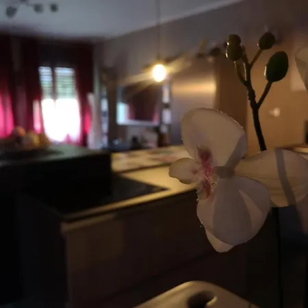 Maison Royale Apartment Issogne
